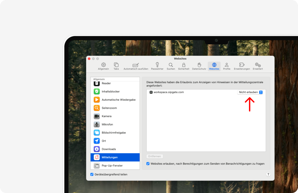 HC-Image-sipgate-app-web-notification-permissions-de-safari-1-min.png